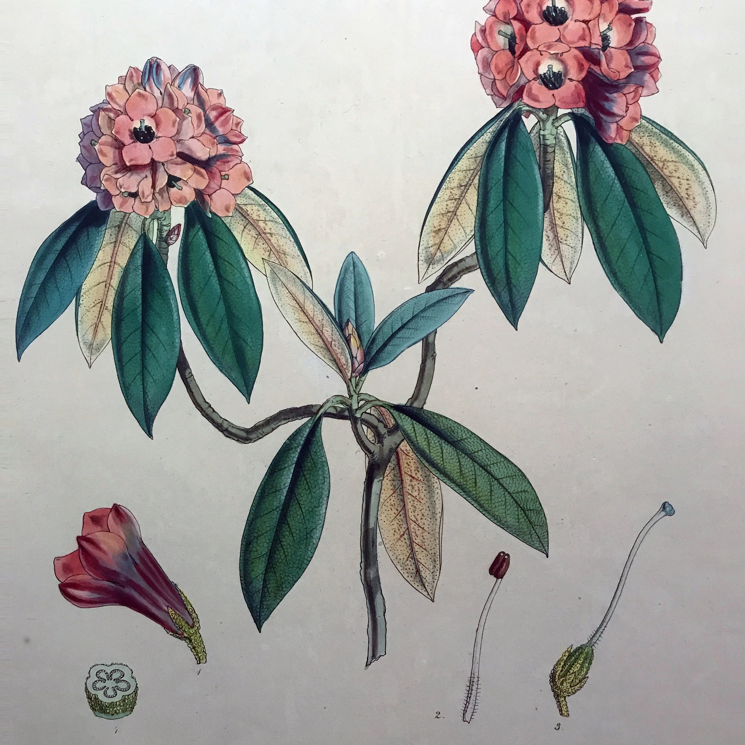 vontage_kew3.jpg