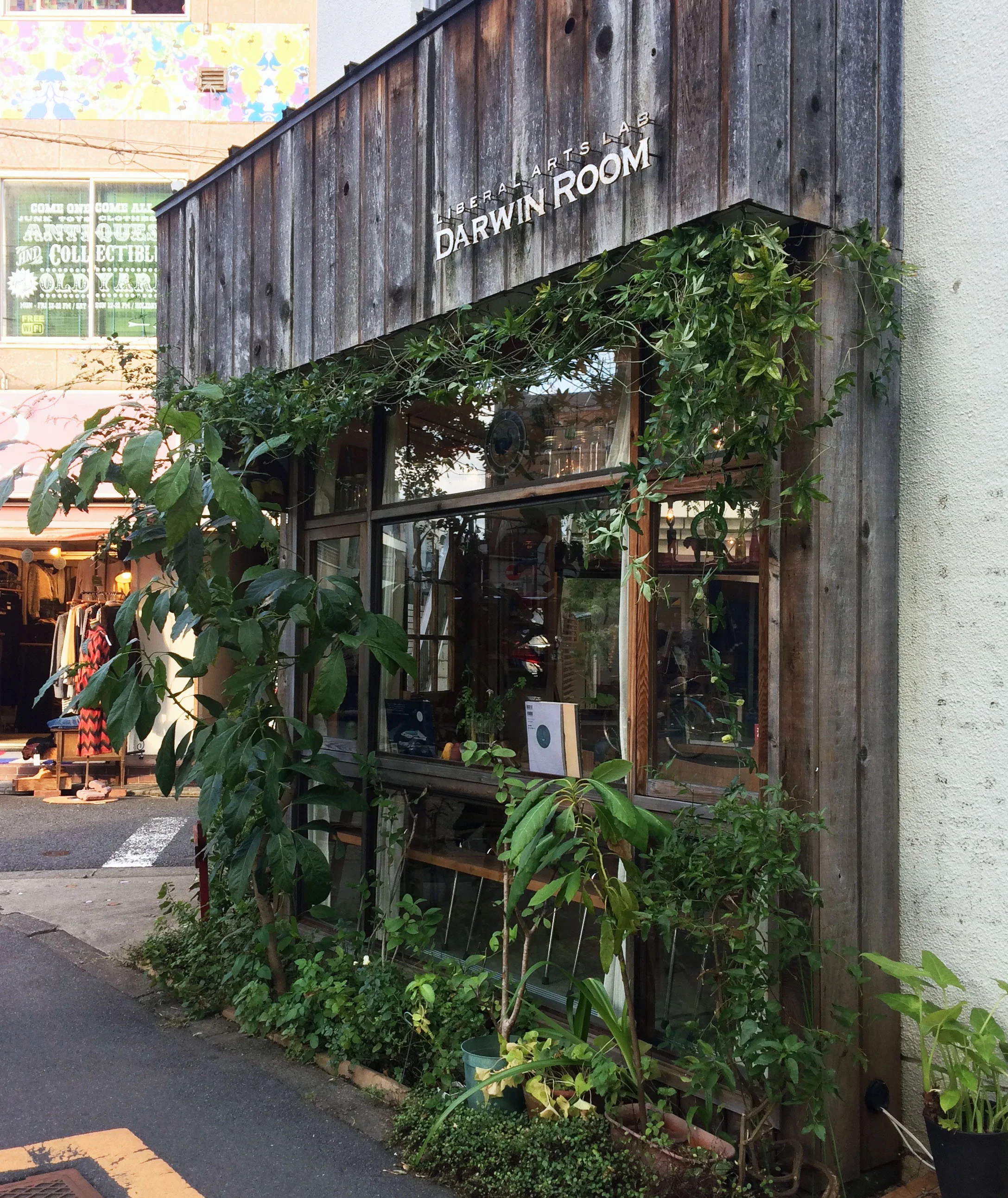 The Darwin Rooms - Tokyo