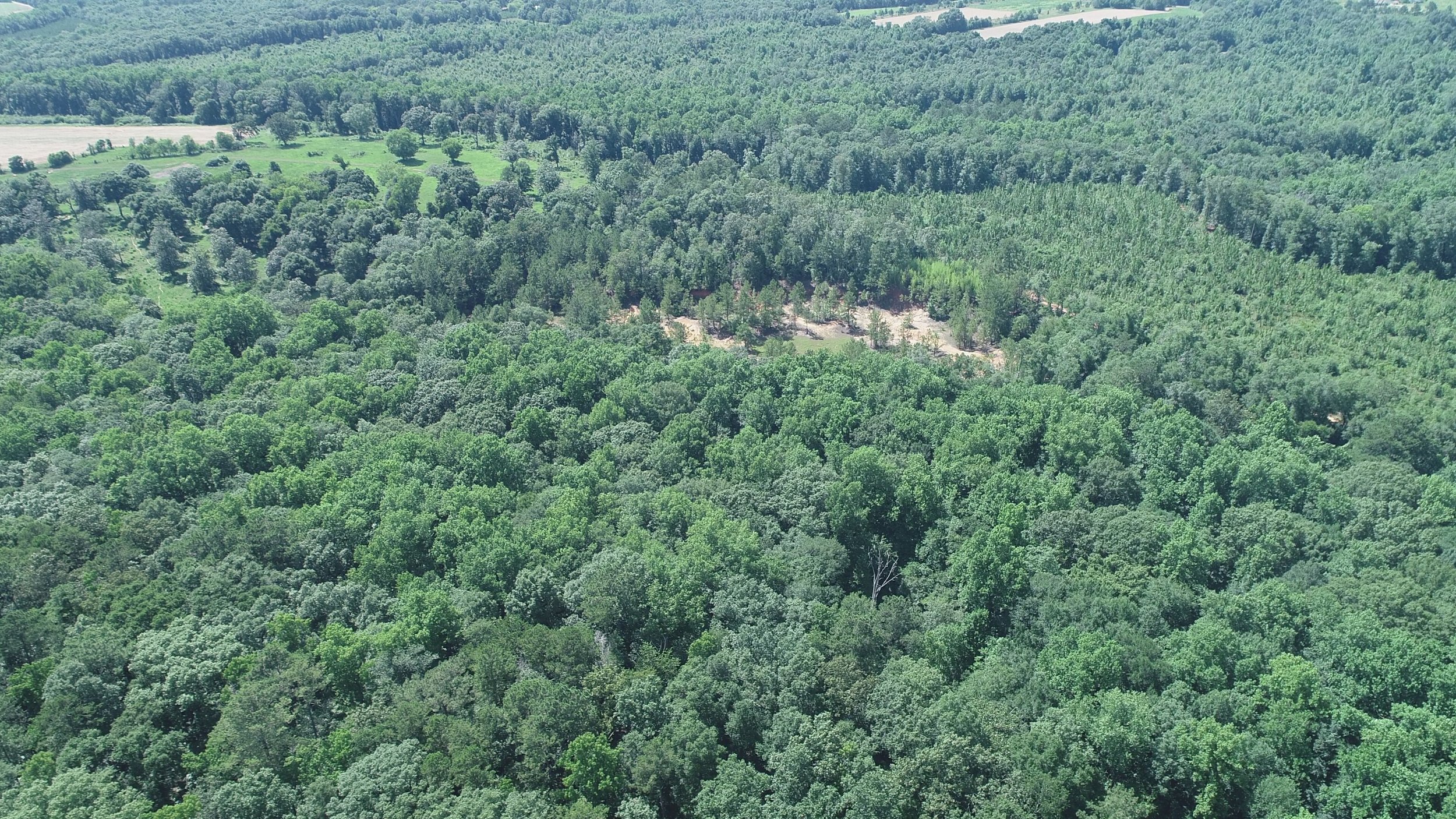DJI_0014.JPG