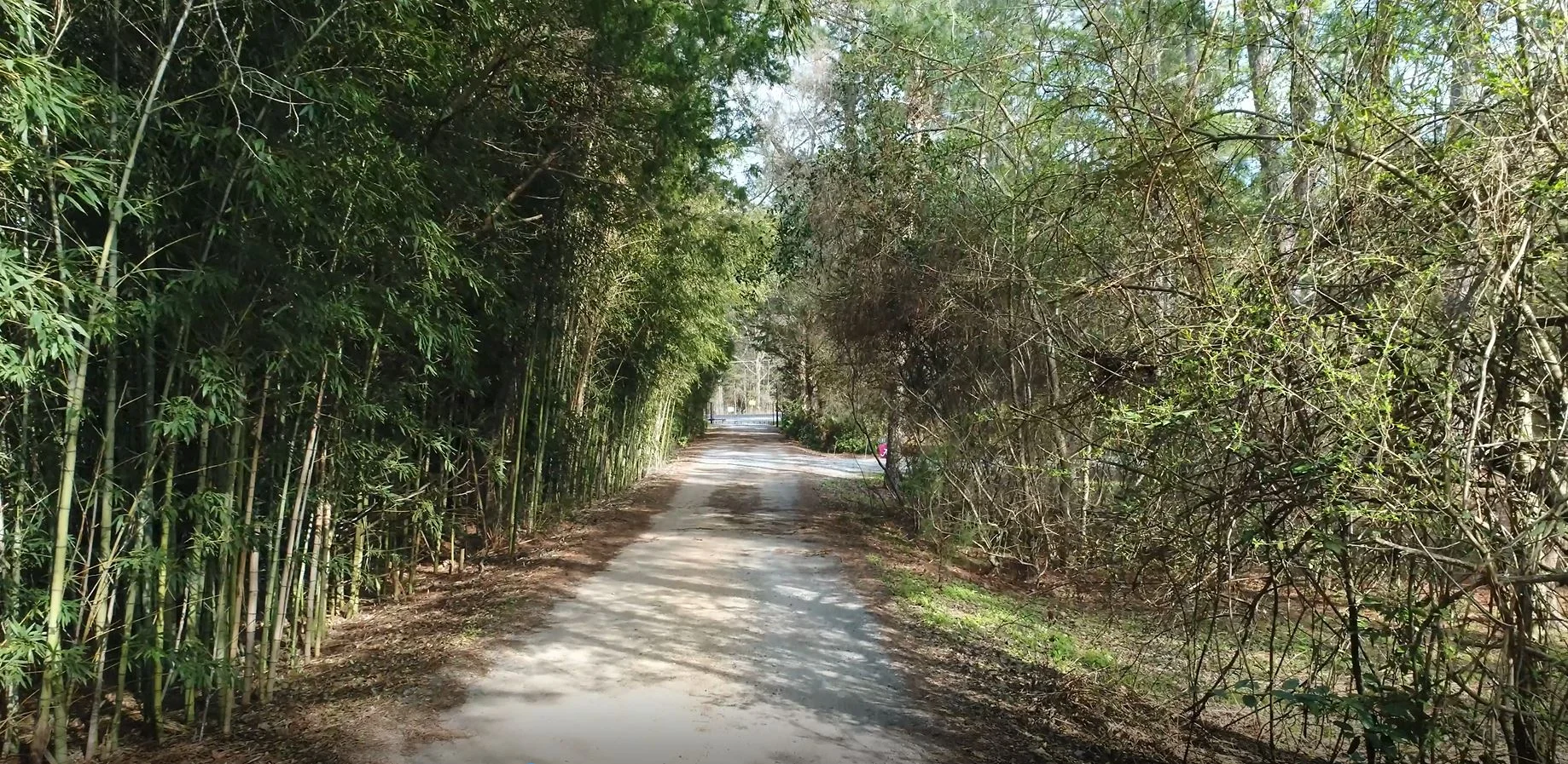 country road.JPG