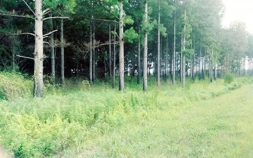 state line rd.jpg
