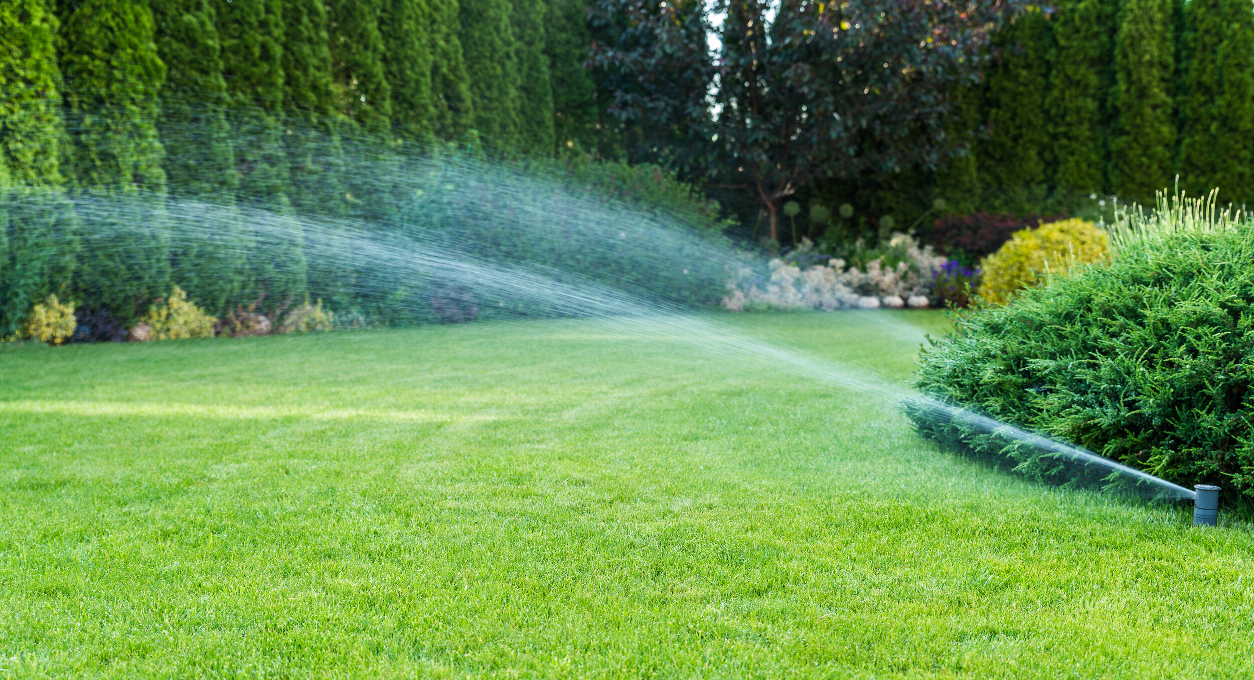 Sprinkler_651127564.jpg