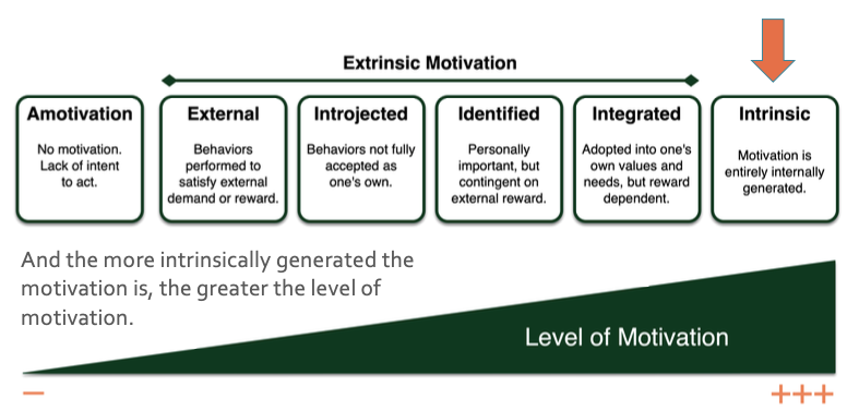 Coaching for  Motivation in Adults with ADHD - Presentation at the 2019 International Conference on ADHD