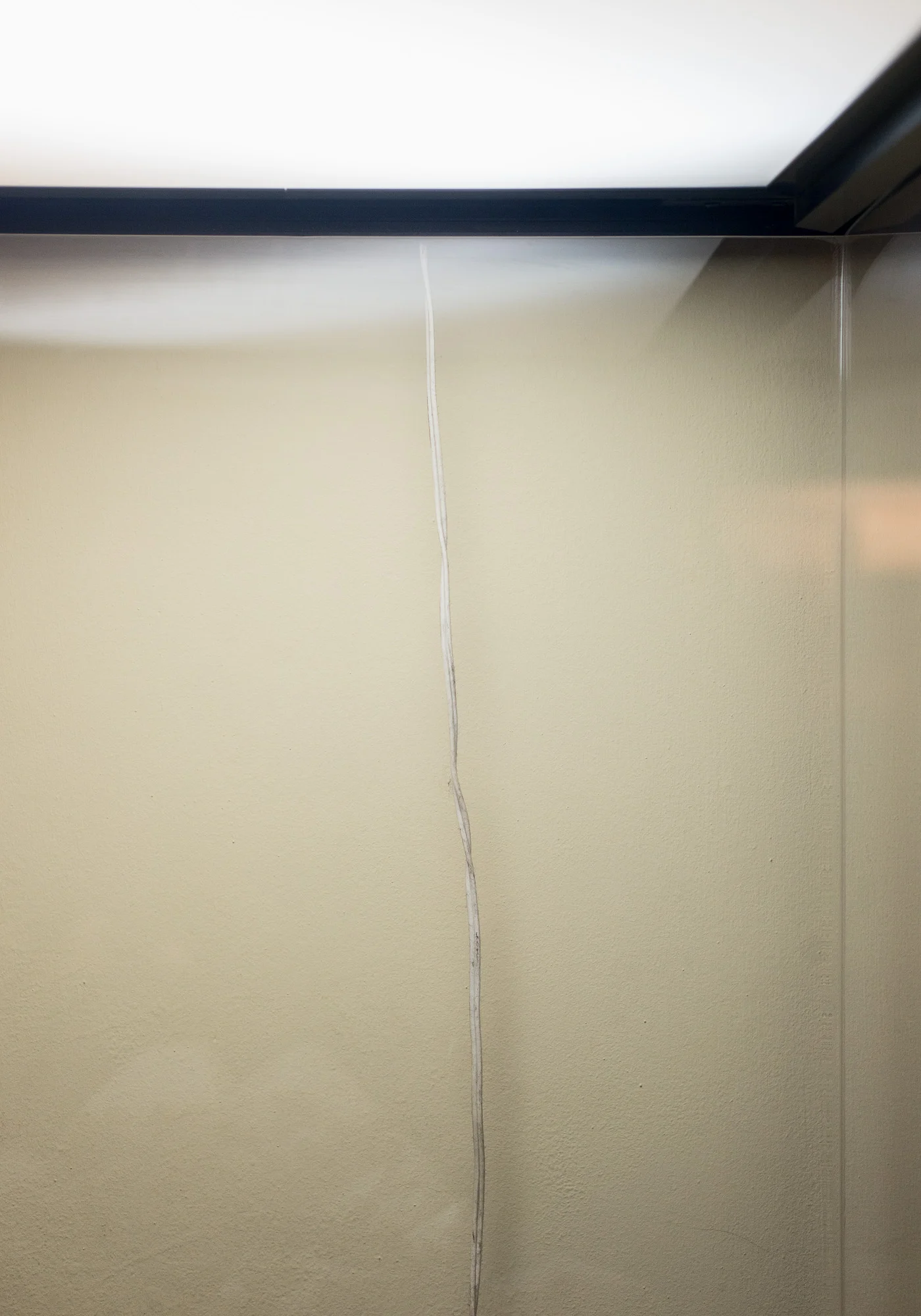 _JPS9631 50x35.jpg