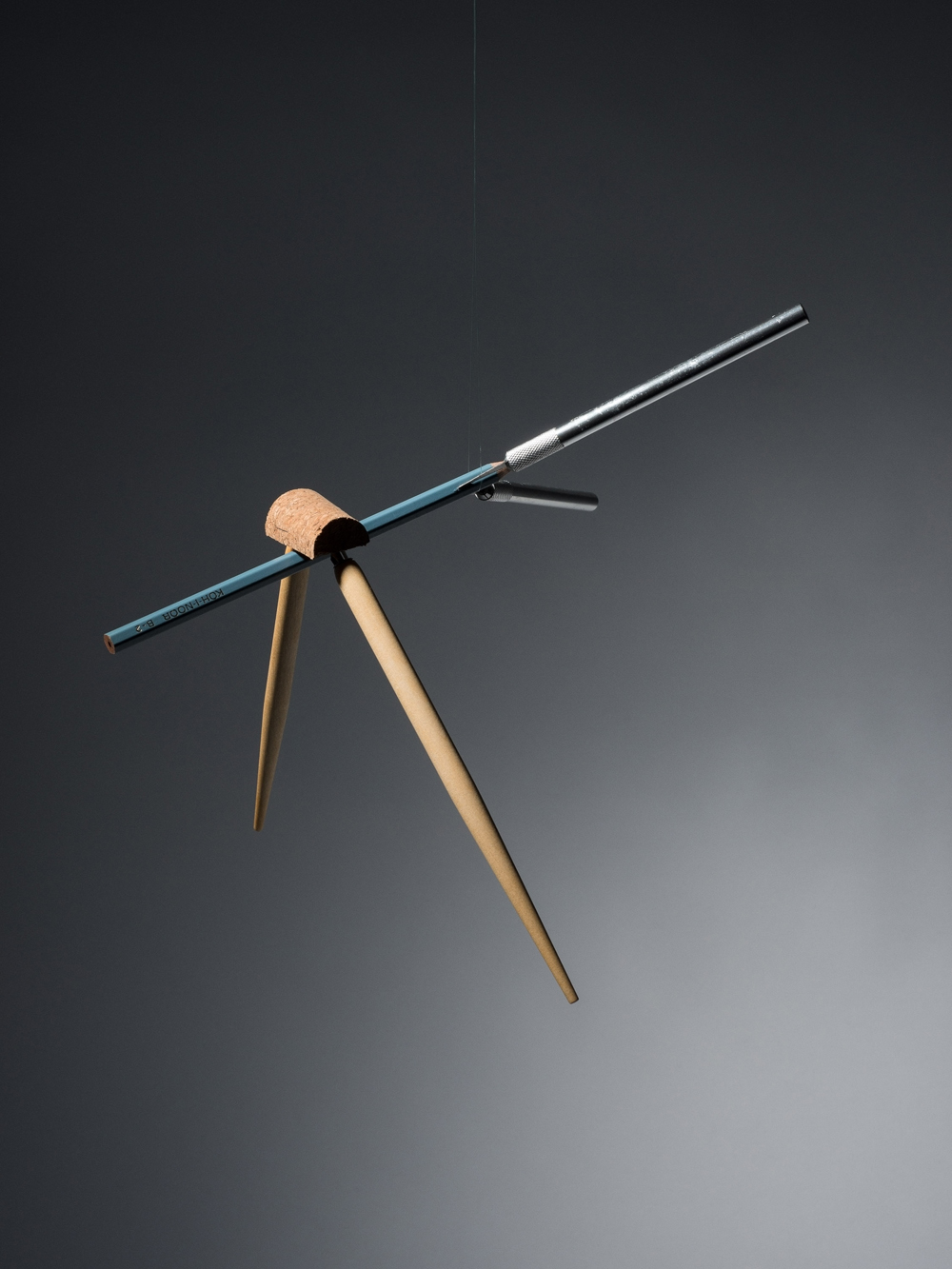 08Cosmos_JPS.jpg