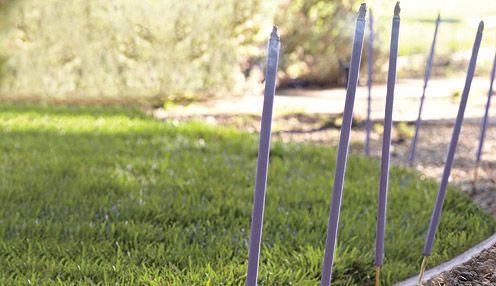 0000garden incense.jpg