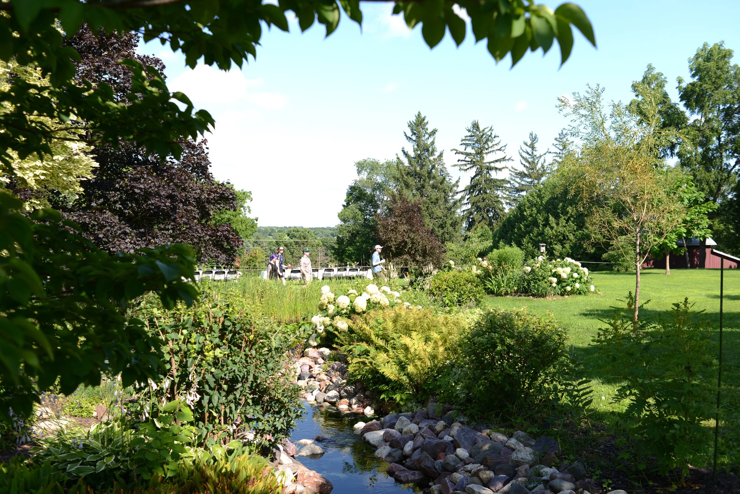 DSC_1184.JPG