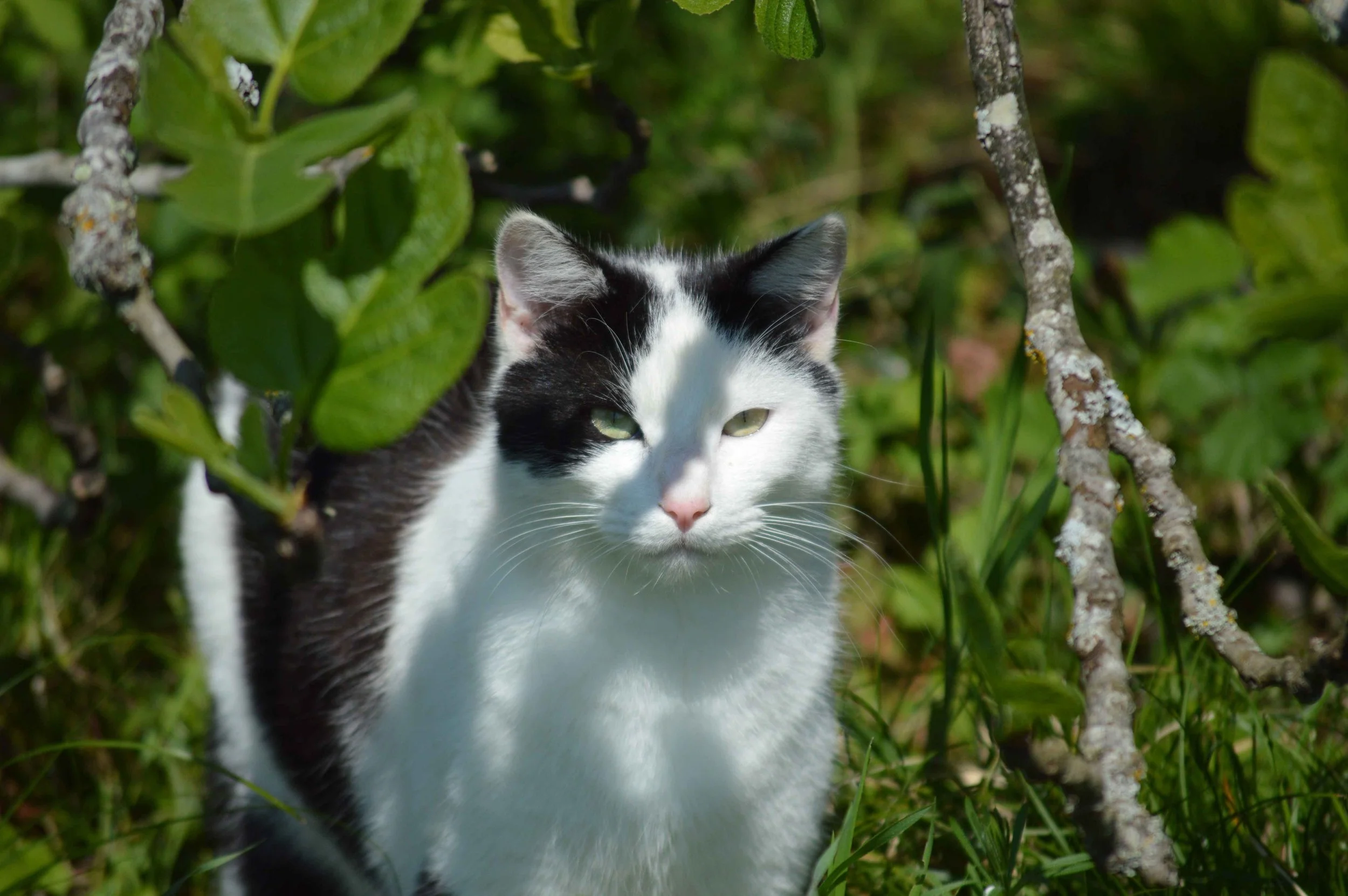 DSC_0496.jpg