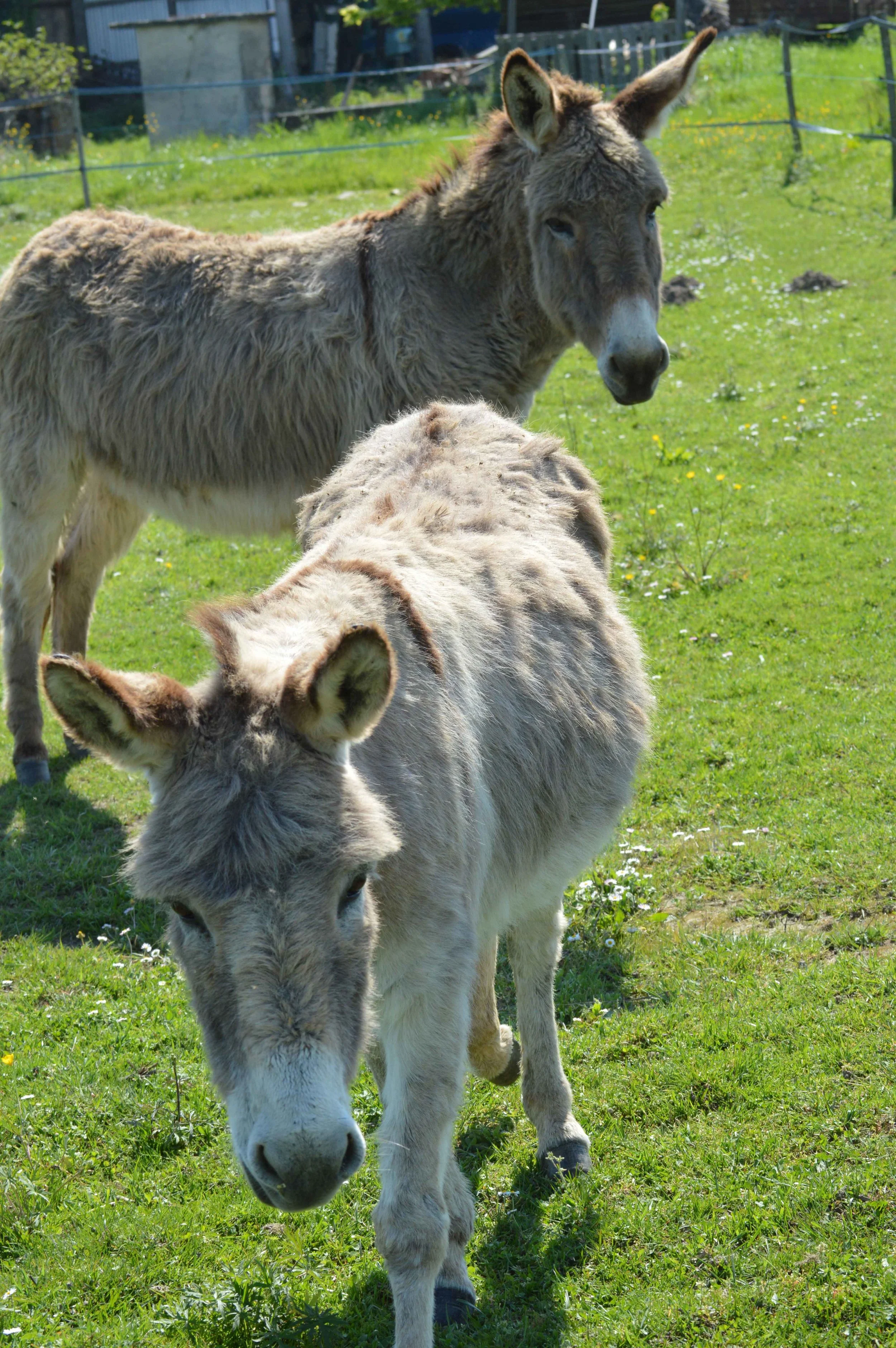 DSC_0541.jpg