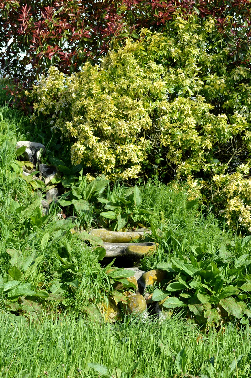 DSC_0317.jpg