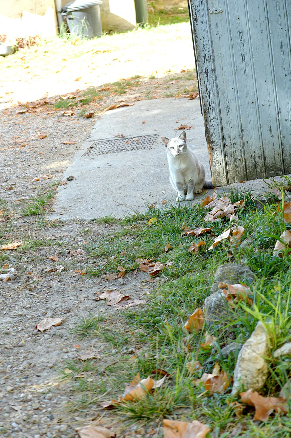 DSC_0308.JPG