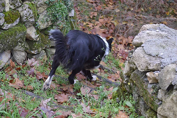 DSC_0196.jpg