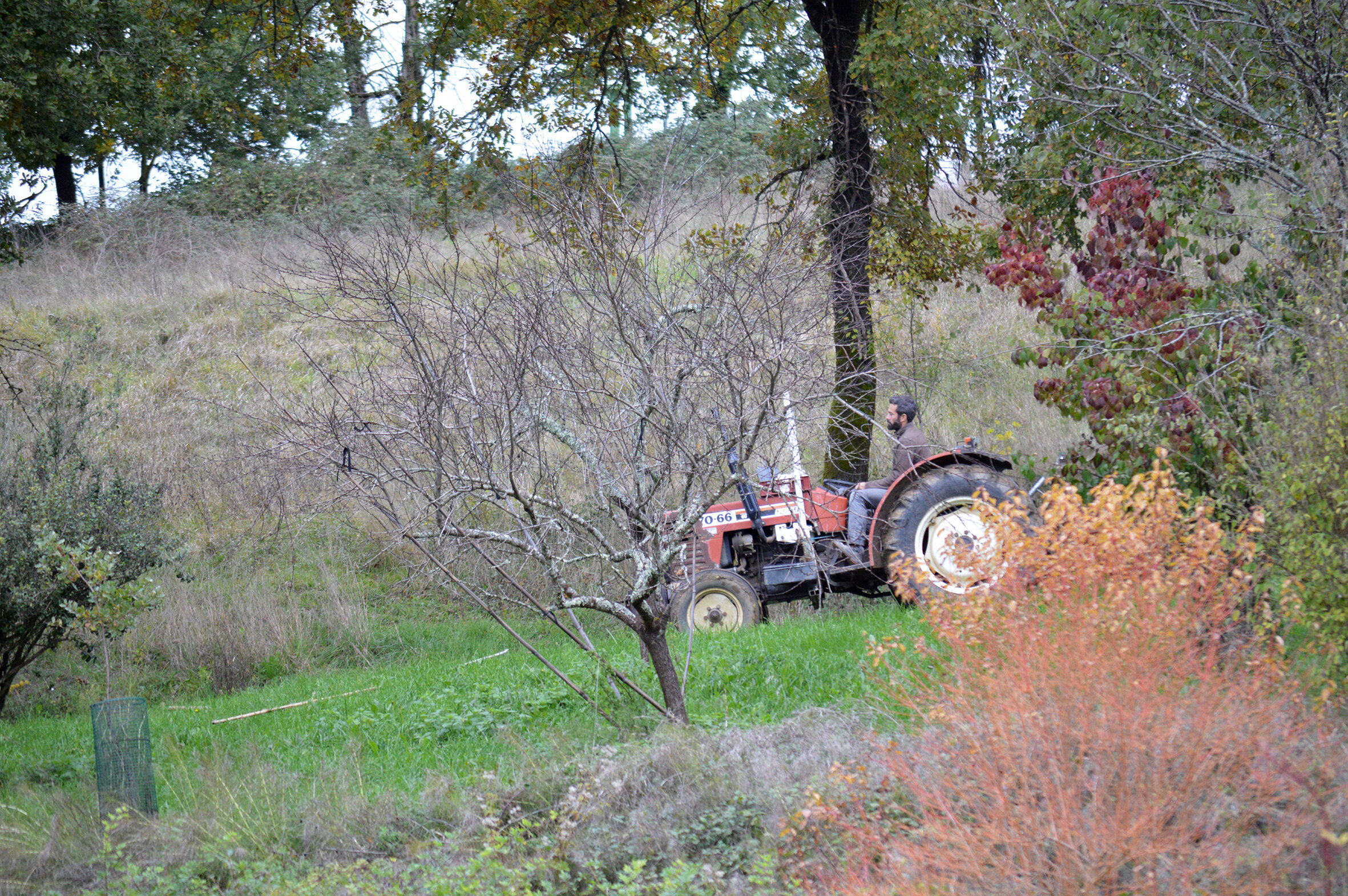 DSC_0205.jpg