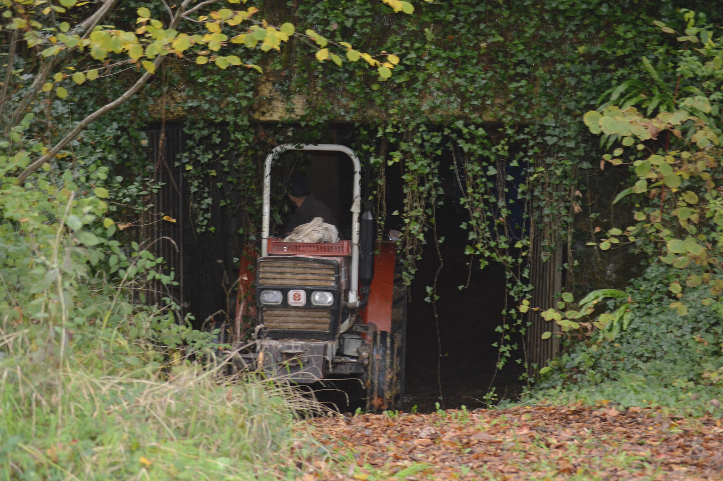 DSC_0262.jpg