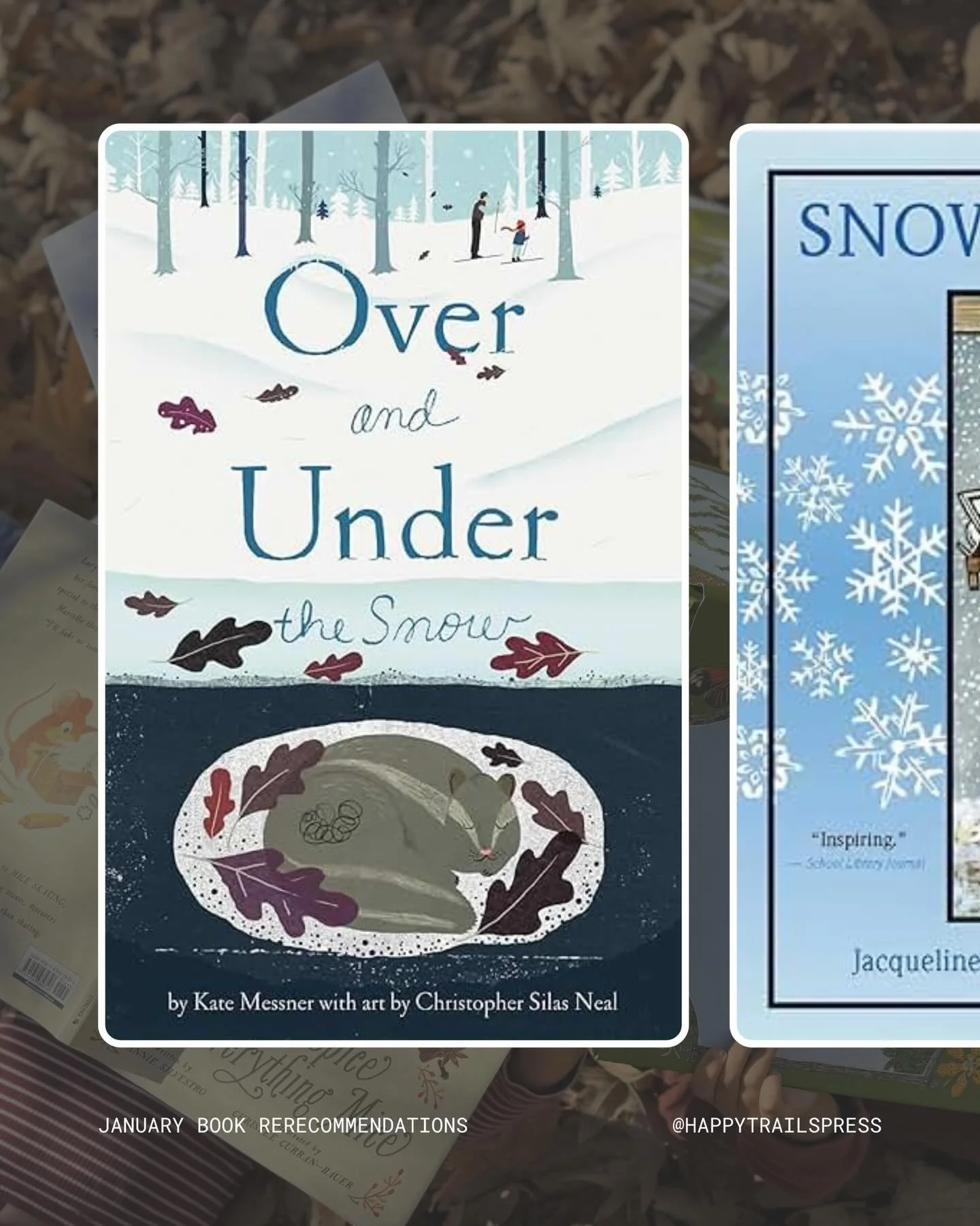 Snowy books for January&rsquo;s reads. ❄️

Swipe, save, and tell me: which one are you reading this winter?