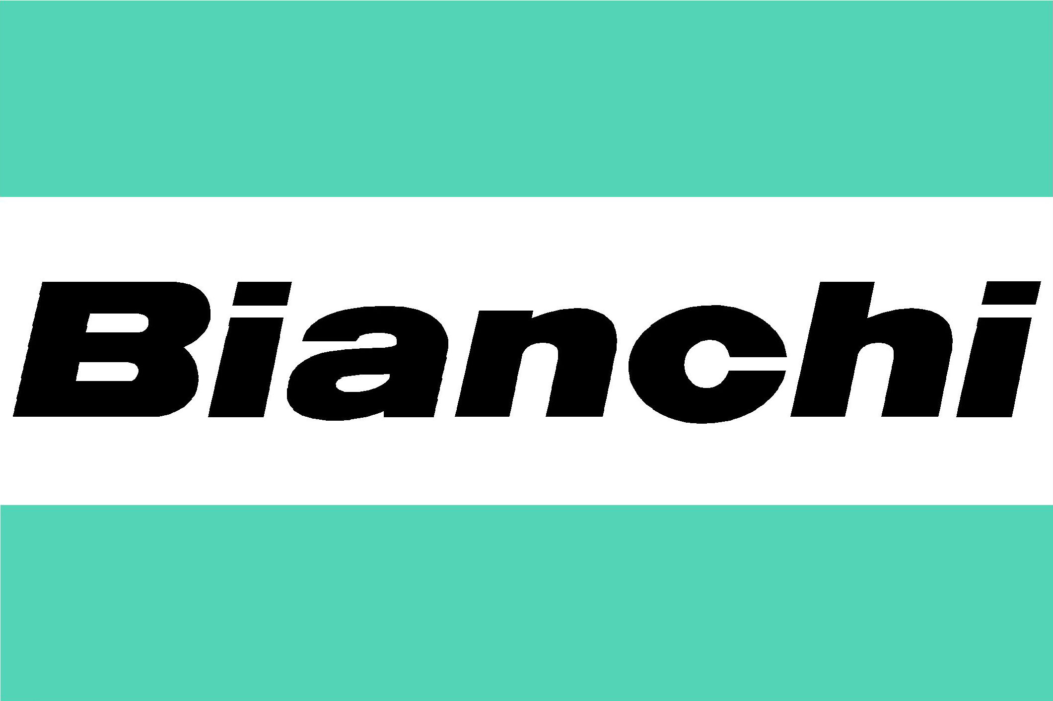 bianchi logo.jpg