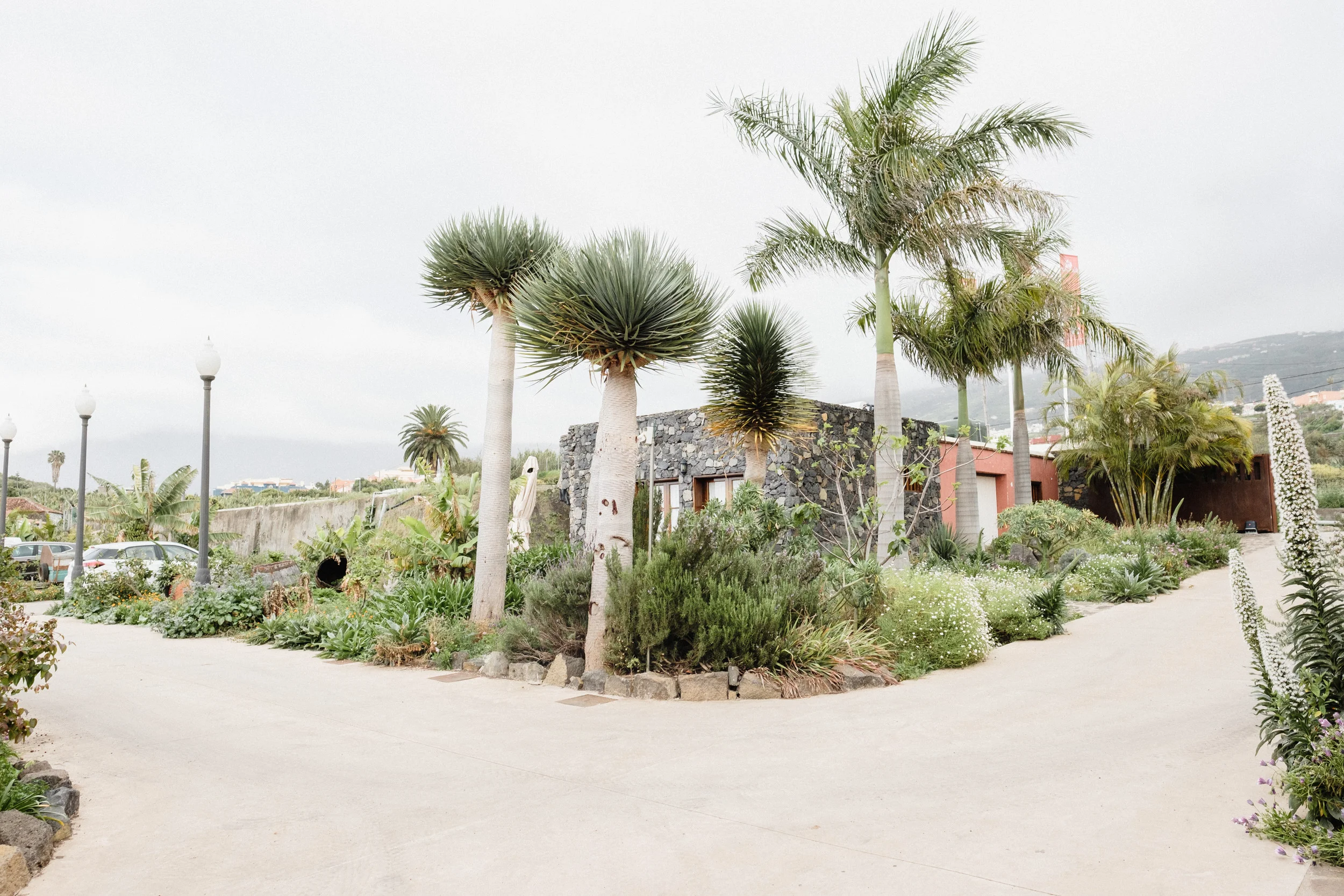 Finca el Patio-26.jpg