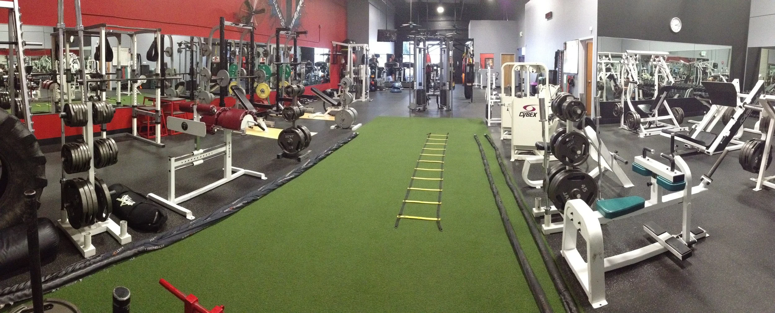 Total Performance Interior.JPG