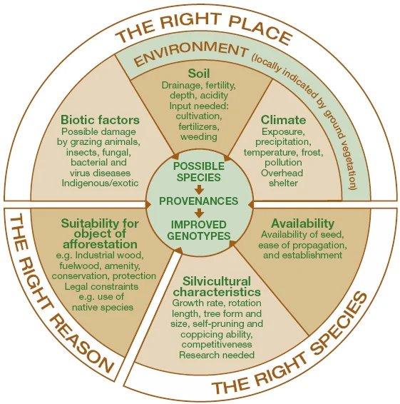 right-tree-right-place-right-reason.jpg