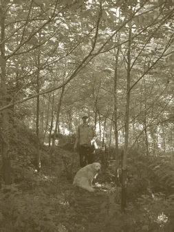 walnut-plantation.jpg
