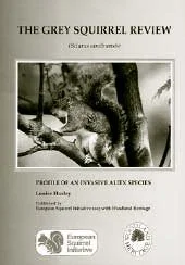 grey-squirrel-review.jpg