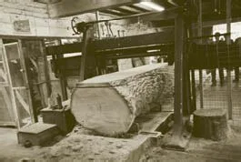 Still rocking on ... the 120 year old horizontal reciprocating saw at Powis Castle Estate Sawmill