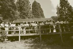 leighton-redwood-grove.jpg