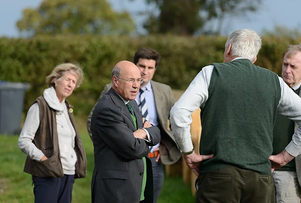 Discussing oak logs