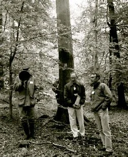 Miles Barne (with loudspeaker), Dr Peter Savill and Gabriel Hemery at one of the oak trees selected for seed for the BIHIP oak trials. (Photo by D. Moodley, HRI)