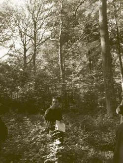 Forêt de Fresnoy