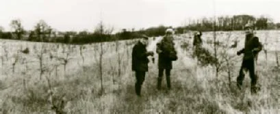 Replacement Planting 1997