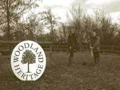 Michael and Sally Cookson planting their WH black walnuts in Cheshire with Elaeagnus Umbrella nurse trees