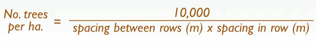 tree-planting-formula.jpg