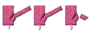 Figure 4 : Removing a large branch: 1 undercut, 2 top cut and 3 remove stub