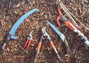 Figure 5 : Pruning tools - (left to right) saw with undercutting chisel for fitting to telescopic pole, secateurs, loppers, folding pruning saw, lopping head fitted to 6m telescopic pole