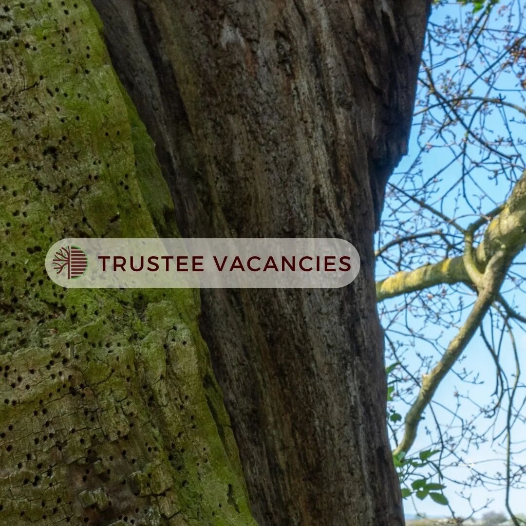 📢 New Deadline - Trustee Vacanies 📢

Do you love trees, woodlands and beautiful homegrown timber? 

Woodland Heritage is looking to recruit three Trustees including a Vice Chair and Treasurer. You would be joining a dedicated and passionate group o