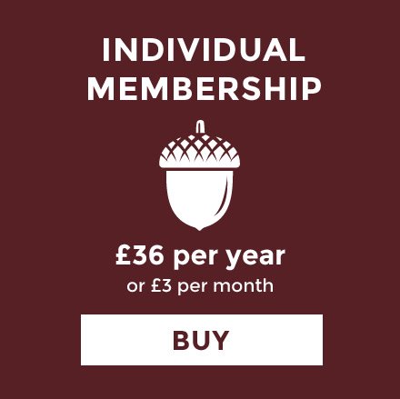 Individual Membership