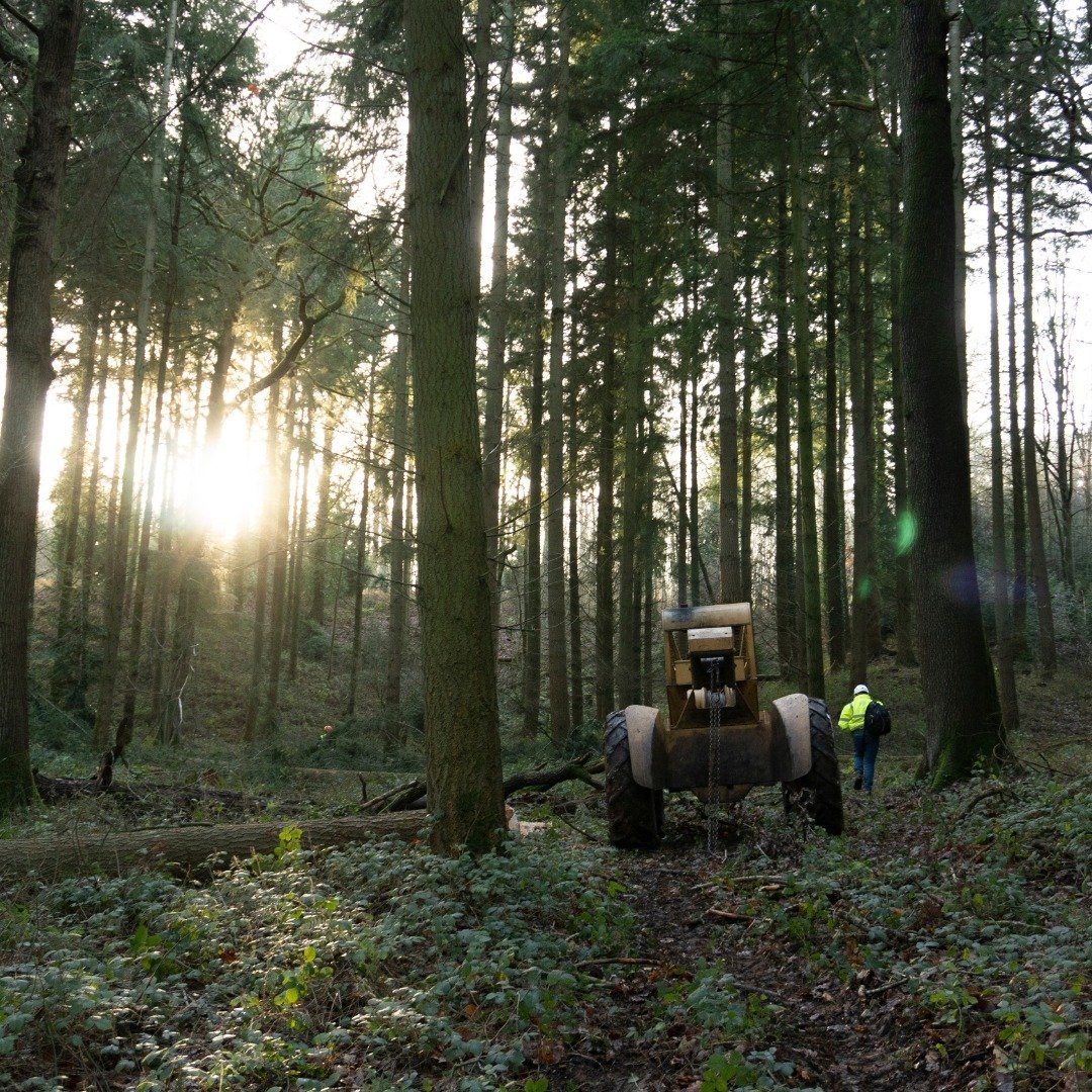 🌲 We&rsquo;re bringing back #ThrowbackThursday for International Day of Forests to shout about Making a Stand, the powerful temporary installation that took root in Leeds City Square last year for LEEDS 2023. The &lsquo;sculptural forest&rsquo; was 