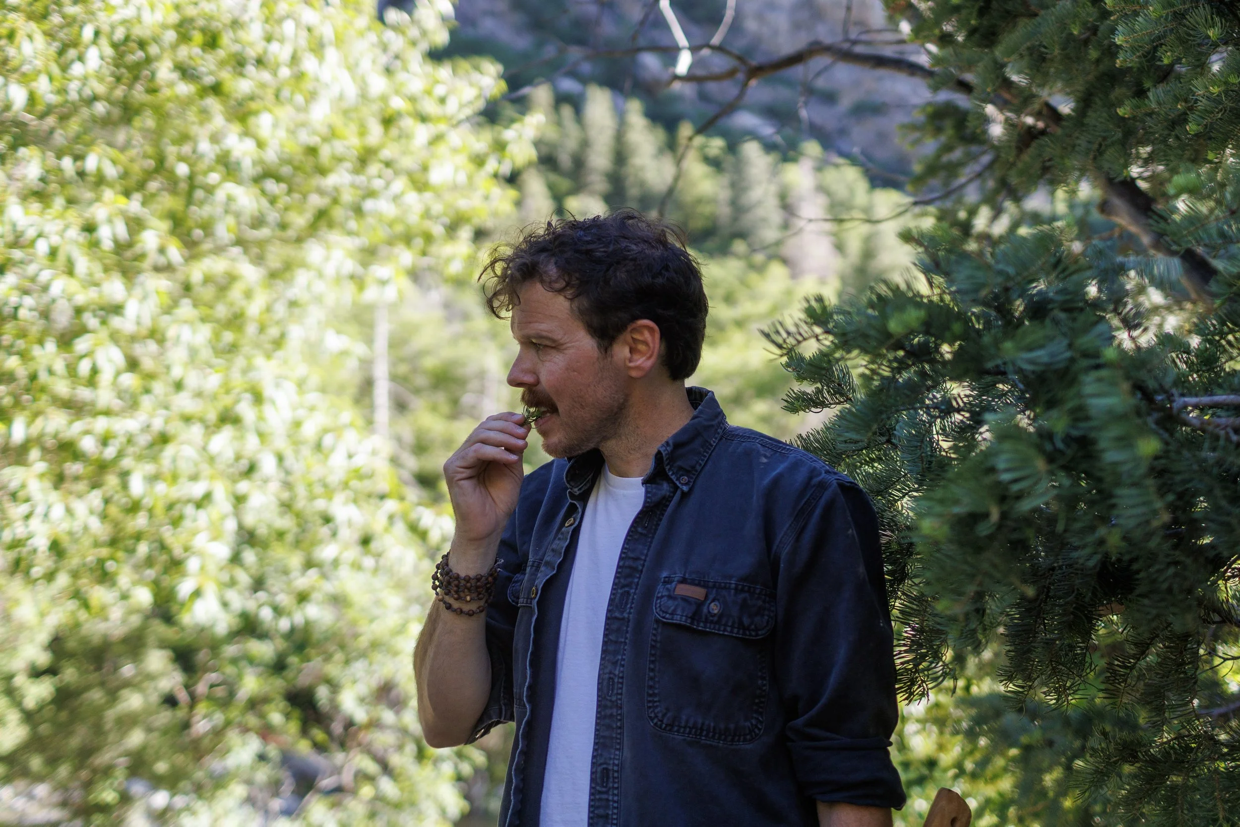 Utah Connection Continued - Interview with JustinTheTrees