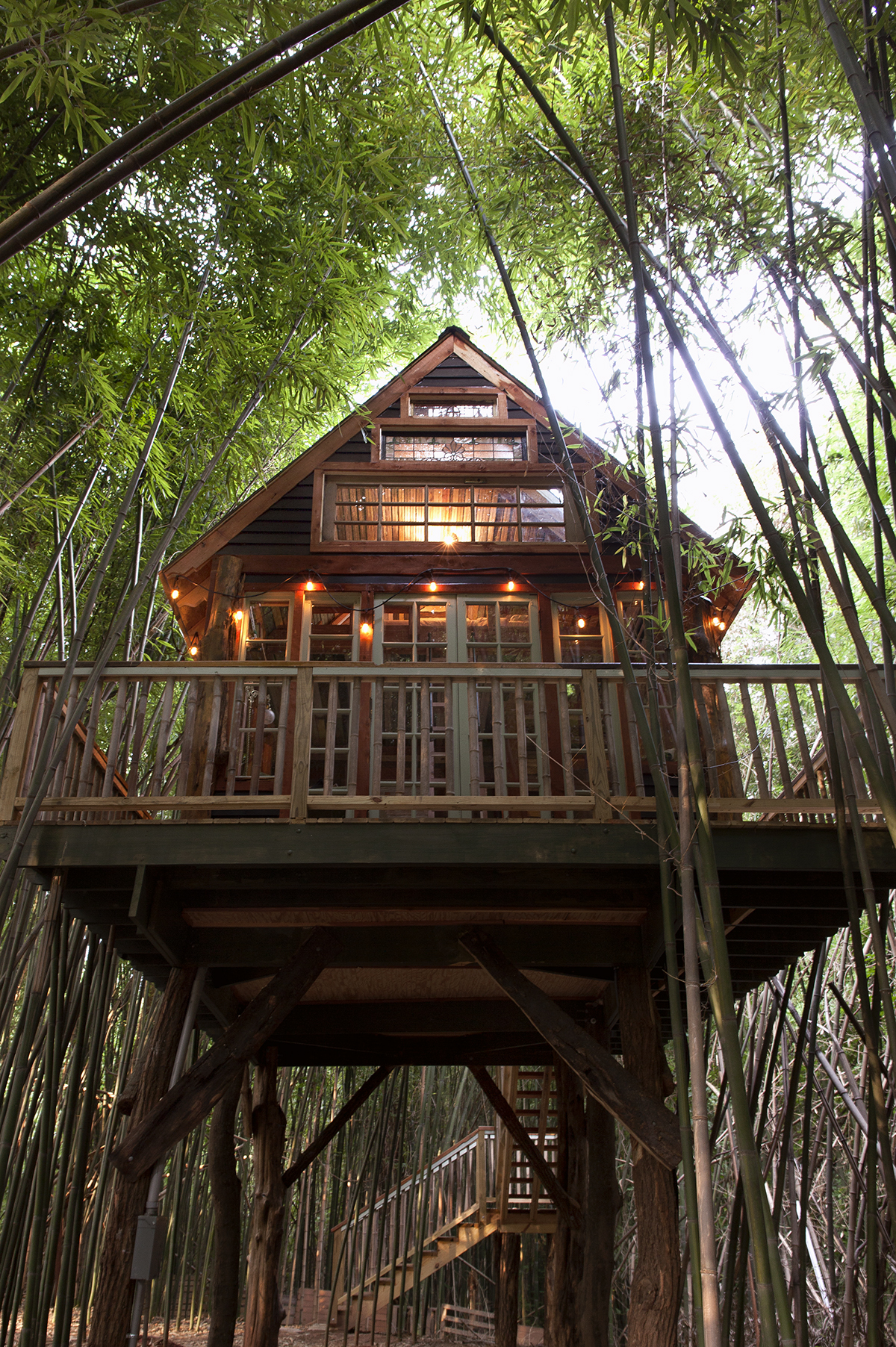 LindsayAppel-Treehouse-1