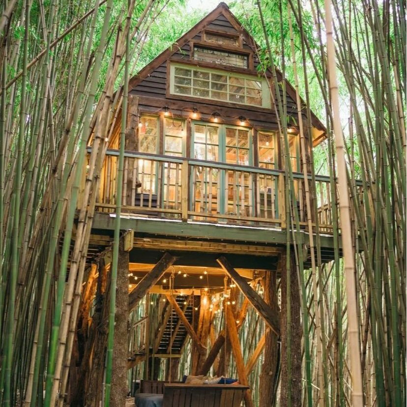Unique AirBnB Treehouses