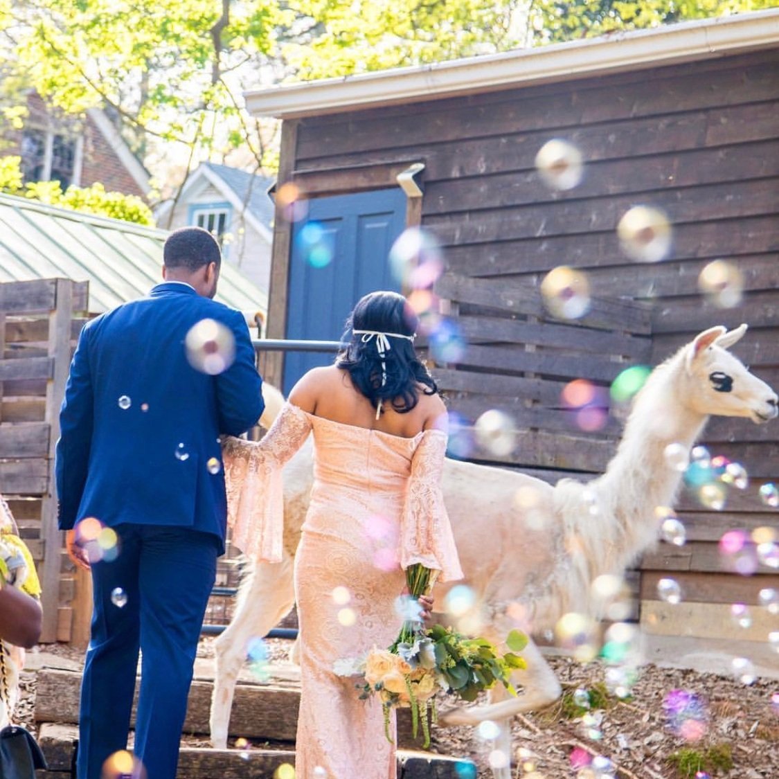 Bubbles+Wedding.jpg