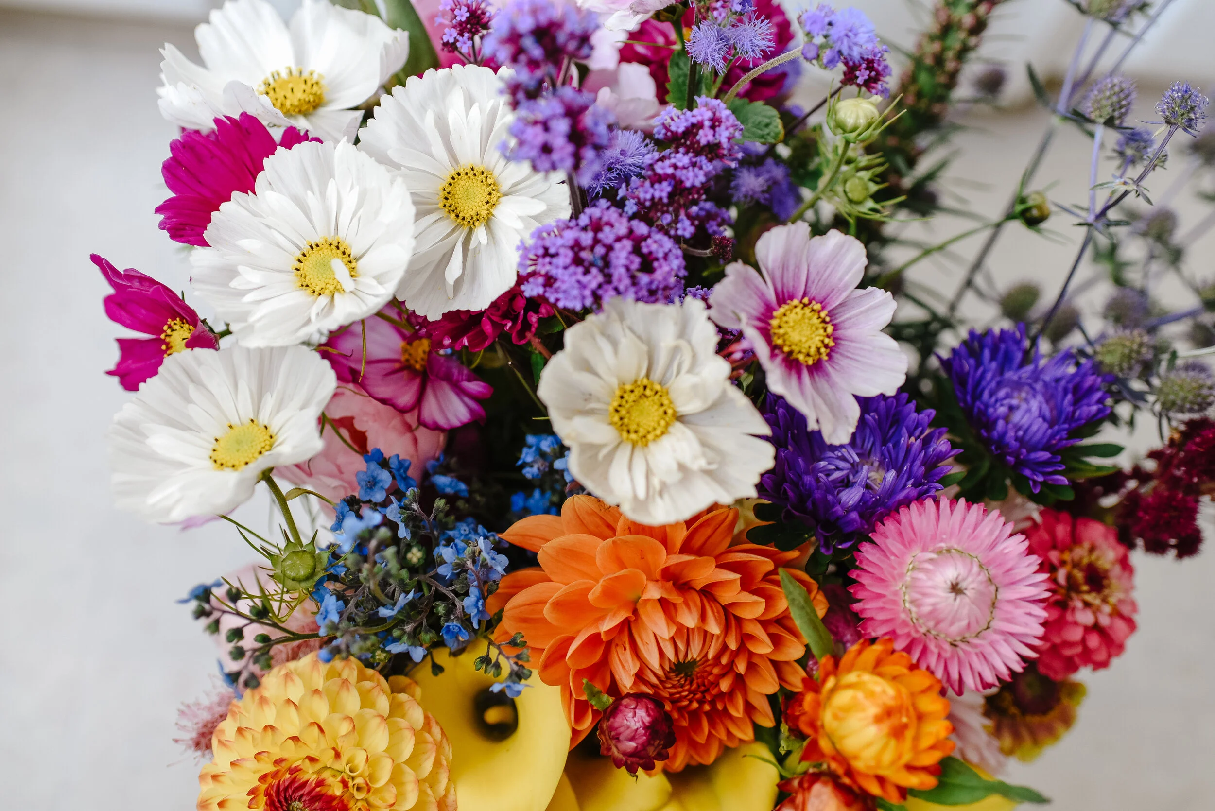 July + August Resana Pick-Up