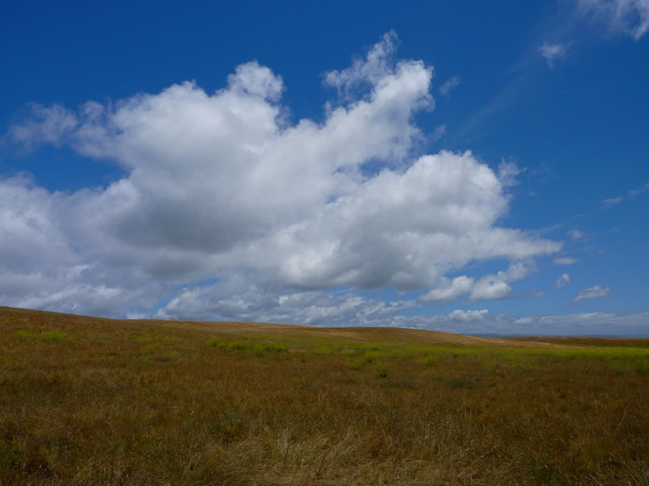 8.P1020832.jpg