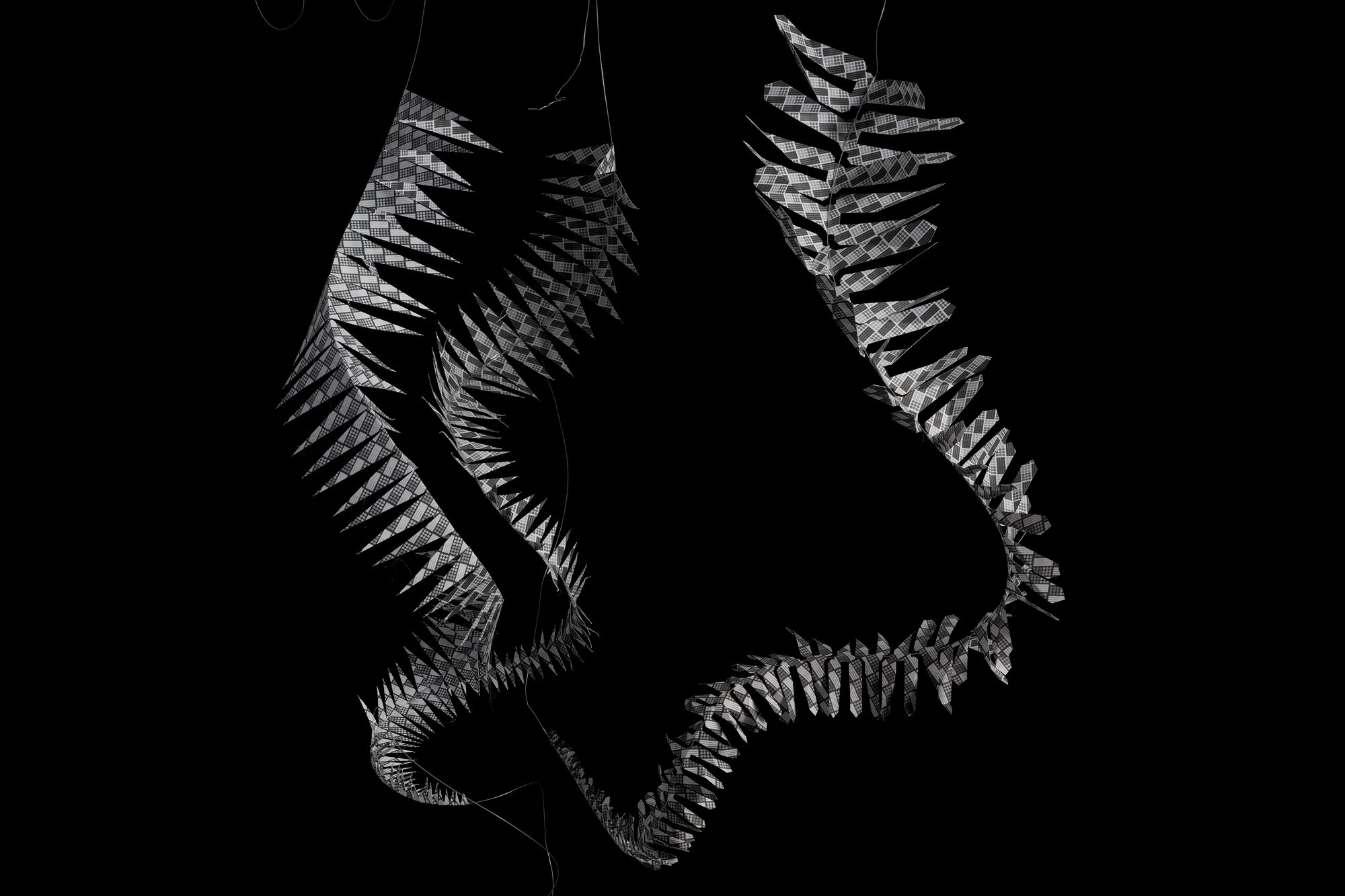 b, EP Ferns, Group, Pattern A 04.jpg