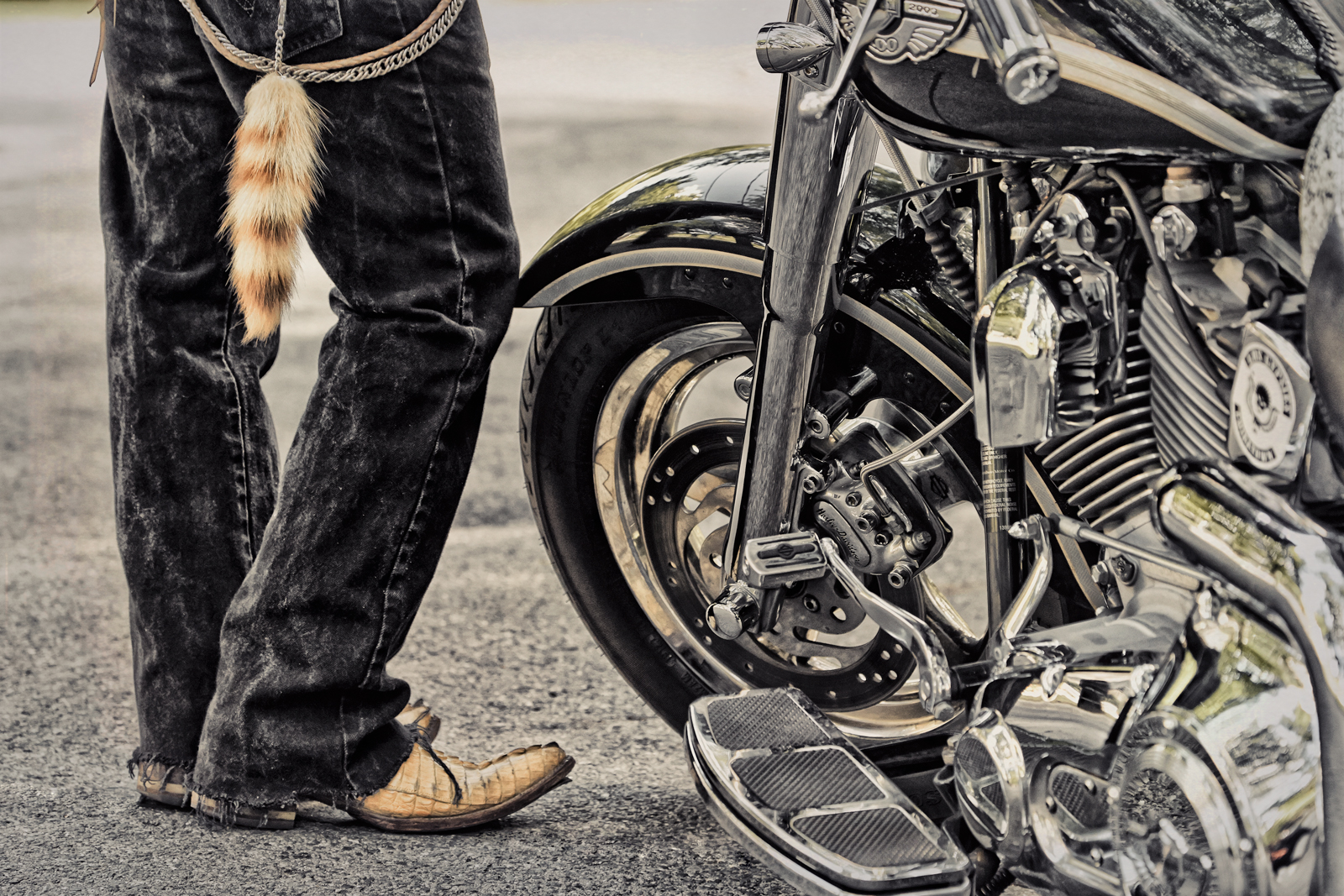 861CRGYPSIES_619.jpg