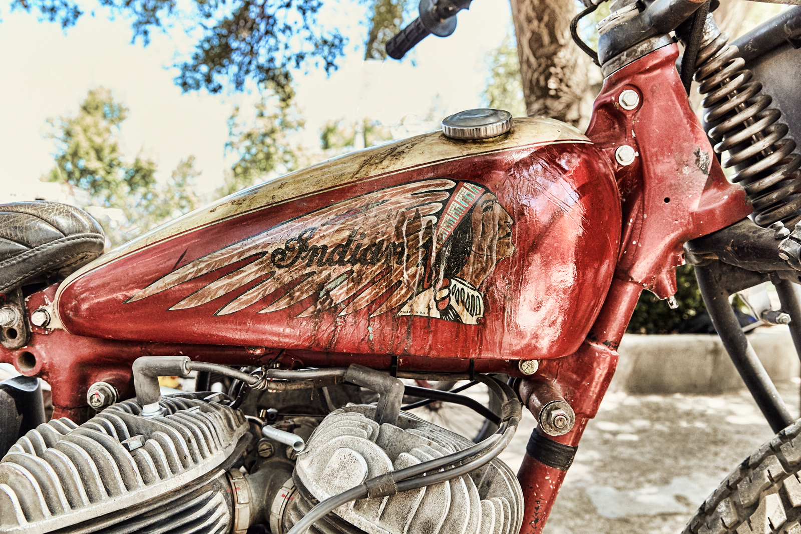 973RMMBORNFREE_2118.jpg