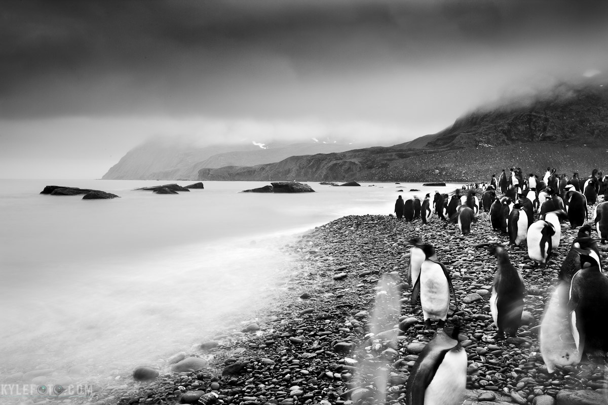 ghostsgoldharbour-1.jpg