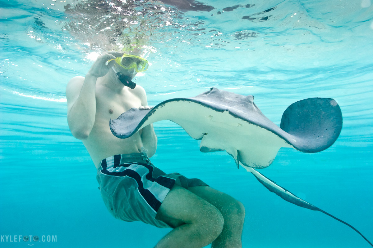 monday-stingray-1.jpg