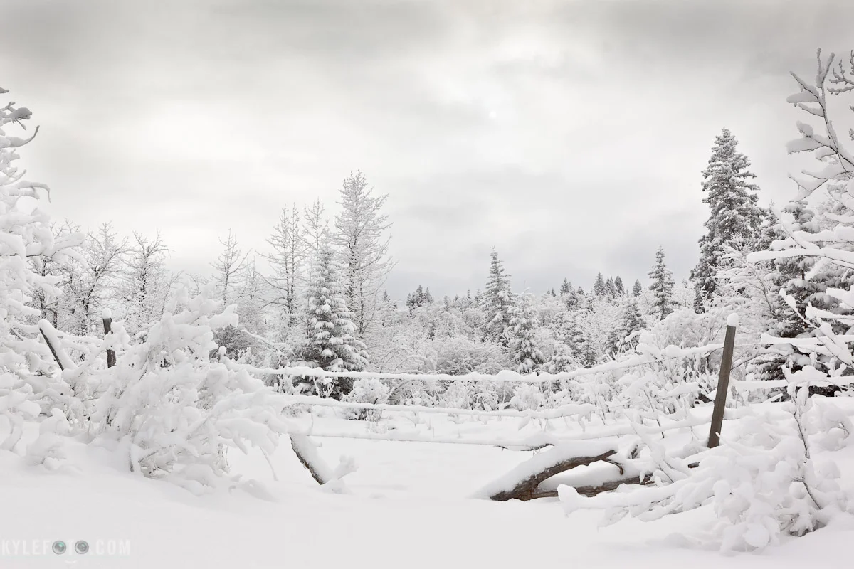 winter-wonderland-1.jpg